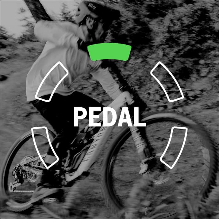 Pedal